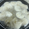 玮世纯素手工水饺荠菜芸豆松茸佛家素食全素馅饺子新鲜速冻水饺面点 白菜+荠菜+芸豆+芹菜各1盒1.2kg 实拍图