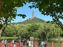 正宗新疆阿克苏冰糖心苹果新鲜水果脆甜礼盒整箱红富士雪山丑苹果 5斤 精选大果（80-85） 实拍图