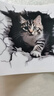 个性宠物猫咪车贴抓痕汽车贴纸车身划痕遮挡贴摩托车3D卡通贴防水 3D猫咪贴 小号13cm 实拍图