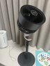 艾美特（AIRMATE）【旗舰金天鹅】空气循环扇语音智能遥控电风扇直流变频家用安静轻音一级能效落地扇负离子净化电扇 实拍图