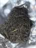 七春2026茶叶特级六安瓜片雨前绿茶冷泡茶中秋教师节送长辈礼品250g 实拍图