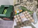 青萝卜约500g 实拍图