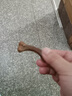 GERTHRON德国品牌狗狗磨牙棒宠物零食耐咬幼犬小型犬泰迪狗狗洁齿骨除口臭 磨牙棒+牛肉条【营养美味】 营养美味 训犬必备 磨牙健齿 耐啃耐咬 清新口气 实拍图