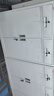 中伟（ZHONGWEI）储物柜文件柜办公钢制铁皮柜资料柜档案柜中二斗文件柜（加厚款） 实拍图