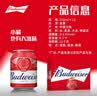 百威啤酒mini红罐淡色拉格255ml*12小罐整箱装京东自营喜酒踏春送礼 实拍图