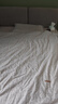 罗莱家纺 100%纯棉抗菌四件套全棉床上用品床单被套 灰 200*230cm 京东定制款 实拍图