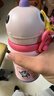 babycare儿童保温杯婴儿吸管水杯水壶不锈钢保温杯上学450ml-新旧款混发 实拍图