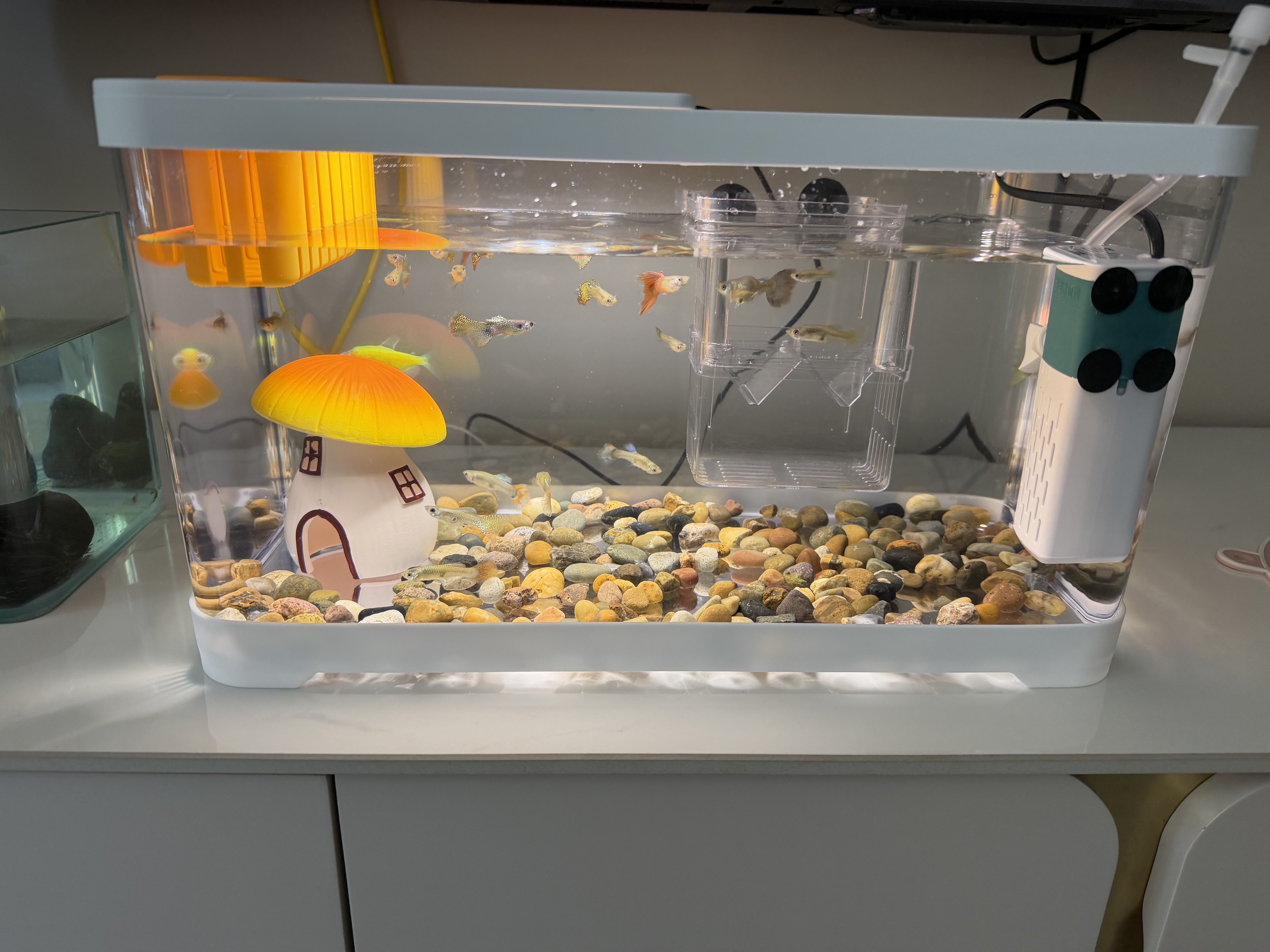阔庭（KUOTING）鱼缸滑盖款造景过滤制氧一体机鱼缸家用小型免换水鱼缸溪流缸白色 实拍图