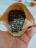 羽信蒙顶甘露绿茶茶叶2026新茶自己喝四川雅安蒙顶山茶叶散装500g 实拍图