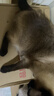 好主人狗粮 全犬种通用幼犬粮2.5kg泰迪金毛拉布拉多比熊天然粮5斤/20斤 全犬种幼犬粮5斤 实拍图
