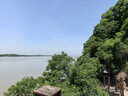 金徽柔和H3纪念版 浓香型白酒 45度 500ml 单瓶装 端午父亲节送礼 实拍图