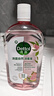 滴露（Dettol）衣物消毒液自然香氛洗衣除菌液 除螨除异味去汗臭48H留香1000ml*1 实拍图