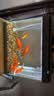 松宝（sobo）鱼缸增氧泵养鱼氧气泵小型家用充氧泵水族箱打氧机增氧泵 双孔3W 实拍图