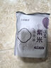 三点食分滇墨紫米900g（五谷杂粮 食品早餐代餐 粗粮） 实拍图