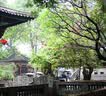 松下（Panasonic）Lumix G100D M43画幅相机 M43卡口 微单相机 无反数码相机 G100D+【12-60+25F1.7】双白盒套装 实拍图