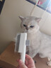 HELLOJOY猫梳子狗毛梳子宠物排梳密齿梳猫咪跳蚤梳直排狗狗专用钢梳去虱子 实拍图
