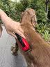 启漫宠物剃毛器狗狗电推剪专业宠物推子剃毛理发器金毛大型犬猫咪推毛器剪狗毛神器养殖场宠物店专用 实拍图