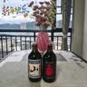 通化山葡萄气泡酒7%vol起泡酒 红酒500ml单瓶葡萄酒果酒微醺送礼 实拍图
