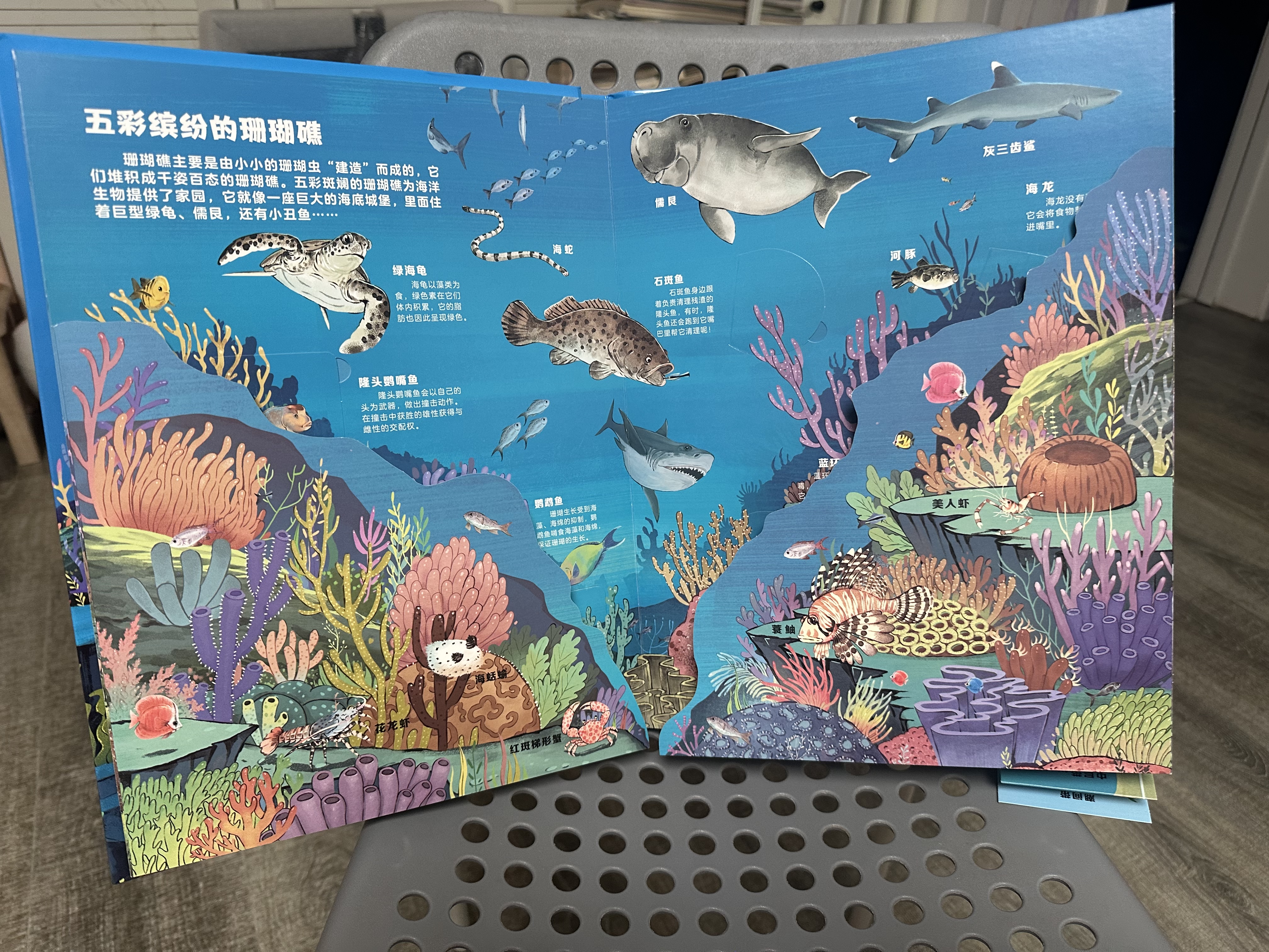 揭秘海洋儿童科普书《大海洋》3D立体翻翻书 7大海洋主题 50个互动机关 100+知识点 认识海洋科普百科绘本3-6岁揭秘海洋世界少儿机关书(绿色印刷)3-6岁儿童启蒙童书 晒单实拍图