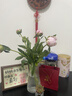 老凤祥和田玉平安扣银项链女款生日520送女朋友礼物老婆玉吊坠妈妈饰品 实拍图