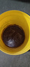 史丹利椰糠砖650g 椰土砖椰砖营养土脱盐花土耶砖种菜通用型 实拍图