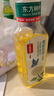 农夫山泉东方树叶绿茶500ml*15瓶无糖茶饮料0糖0脂0卡整箱装饮品 实拍图