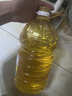 金龙鱼 食用油 非转基因 压榨 一级 纯正玉米油4L（新老包装随机发货） 实拍图