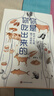 你是你吃出来的 共2册 养生保健养生食疗饮食健康科普慢病营养指南图书 七大慢病康复饮食法则食疗菜谱养生食疗 夏萌医学科普图书 营养健康书 慢病营养指南 康复饮食密码 磨铁图书正版 自选 【共2册】你是 实拍图