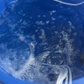 优之星鱼缸增氧泵大功率增氧机养鱼卖鱼海鲜缸氧气泵打氧水产养殖充氧泵 ACO-003气泵 46W【 全套配件 】 实拍图