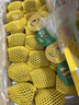 佳沛（zespri）新西兰 阳光金果25-27粒原箱特大果单果124-146g 猕猴桃水果礼盒 实拍图