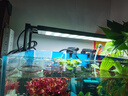尼特利（NETLEA）水草灯AT5S全光谱WIFI版智控伸缩led鱼缸灯草缸植物补光爆藻灯 545S（45-65缸）语音+手机操控+可调光谱（WiFi版） 实拍图