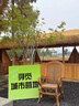 统一来一桶 红烧牛肉味 桶面 103g*12桶 整箱装 方便面速食面泡面 实拍图