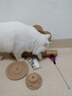 HELLOJOY猫抓柱剑麻猫抓板猫玩具耐抓耐磨不掉屑猫爬架立式自嗨解闷用品 实拍图