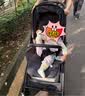 巴厘小猪女宝宝背带裤婴儿春秋长裤2025新款小女童甜美可爱连身裤儿童裤子 鹅鹅鹅 73 实拍图