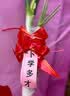 欣沁手拉花结婚装饰丝带婚车门教室书本情人节礼品装饰蝴蝶结大号20个 实拍图