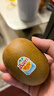佳沛（zespri）新西兰阳光金奇异果18粒礼盒优选果单果103-124g 猕猴桃水果礼盒 实拍图