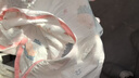 贝肽斯宝宝衣服春夏季薄款纯棉婴儿睡衣防踢被家居空调儿童睡裙连体衣 实拍图