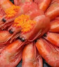 禧美海产熟冻北极甜虾净重3斤装/盒 150/180小号规格 MSC认证 轻食海鲜 实拍图