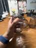 吕姆克花瓶玻璃花瓶客厅摆件水培容器鲜花插花干花灰色小花瓶三件套5523 实拍图
