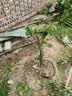 欧悟正宗烟台嫁接车厘子树苗大樱桃树苗南北方种植庭院阳台盆栽果树苗 黑珍珠6年苗 实拍图