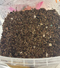 营养土养花种菜土壤有机兰花植物盆栽种植椰砖土 精选营养土2斤 实拍图