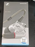 森海塞尔（Sennheiser）IE900/IE600/IE300旗舰级HIFI高保真超宽单动圈单元可拆卸MMCX挂耳式耳机 高保真发烧有线耳机耳塞 IE900 【旗舰HIFI高保真】 实拍图