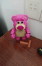 乐高（LEGO）积木迪士尼43306 草莓熊男女孩儿童玩具520礼物摆件玩具总动员 实拍图