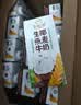 伊利【新鲜日期】谷粒多生椰燕麦牛奶200ml*12盒 礼盒装 实拍图