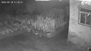 乔安（JOOAN）AI三摄1200万摄像头室外防水家用监控无线wifi全彩夜视监控器360度无死角全景云台旋转手机远程 实拍图