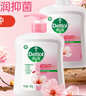 滴露（Dettol）洗手液抑菌消毒滋润500g+500g 补充装儿童家庭护手替换 实拍图