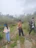 回力女鞋夏季透气登山鞋百搭厚底增高老爹鞋 灰/棕 36/尺码偏大半码 实拍图