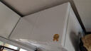 澳柯玛（AUCMA）双温系列302升双箱家用冰柜 冷藏冷冻卧式商用大容量双门冰箱 冷藏全铜管 BCD-302CNE【价保618】 实拍图