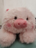 名创优品（MINISO）福莉丝猪系列趴姿公仔毛绒玩具玩偶抱枕娃娃生日礼物女 实拍图