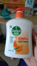 滴露（Dettol）洗手液柑橘500g瓶 健康抑菌消毒清爽 儿童家庭非补充装替换 实拍图